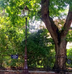 Place Alexander Dumas -Arcachon